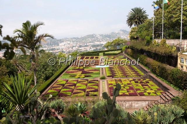 madere 22.JPG - Jardin botanique de Funchal, Madère, Portugal